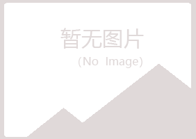 柳州柳北夏岚采矿有限公司